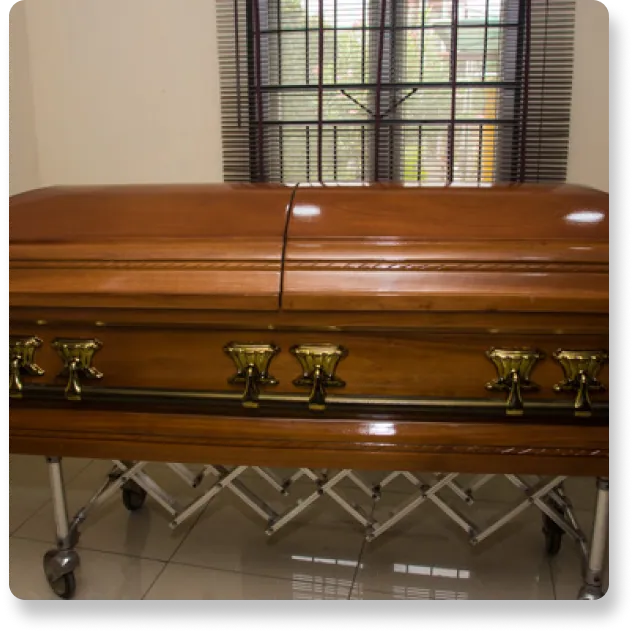 Caskets option 5