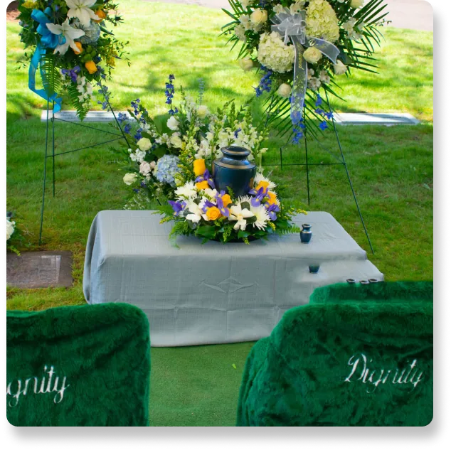 Urns from Mercy Lotad, first view